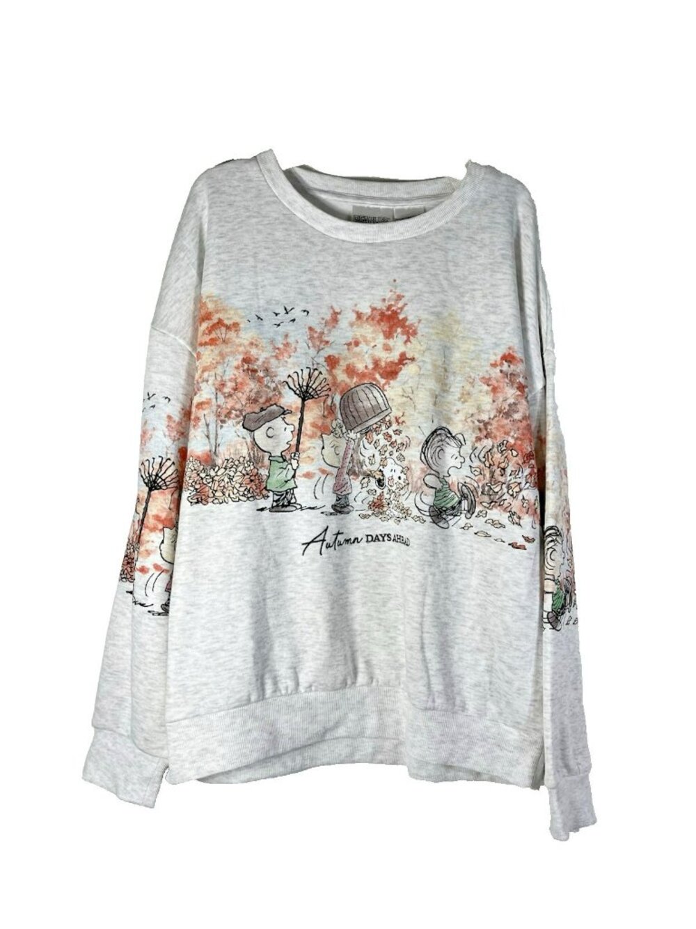 Peanuts Gang Snoopy And Friends Womens Large Autumn Days Ahead Sweatshirt - Picture 2 of 16